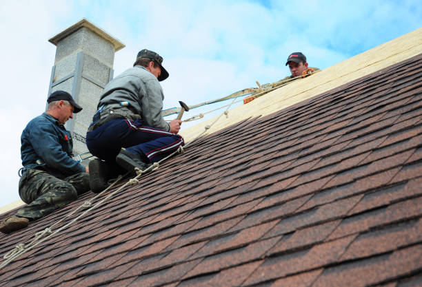 Trusted Coal Creek, CO Roofing Contractor Experts