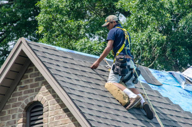 Quick and Trustworthy Emergency Roof Repair Services in Coal Creek, CO